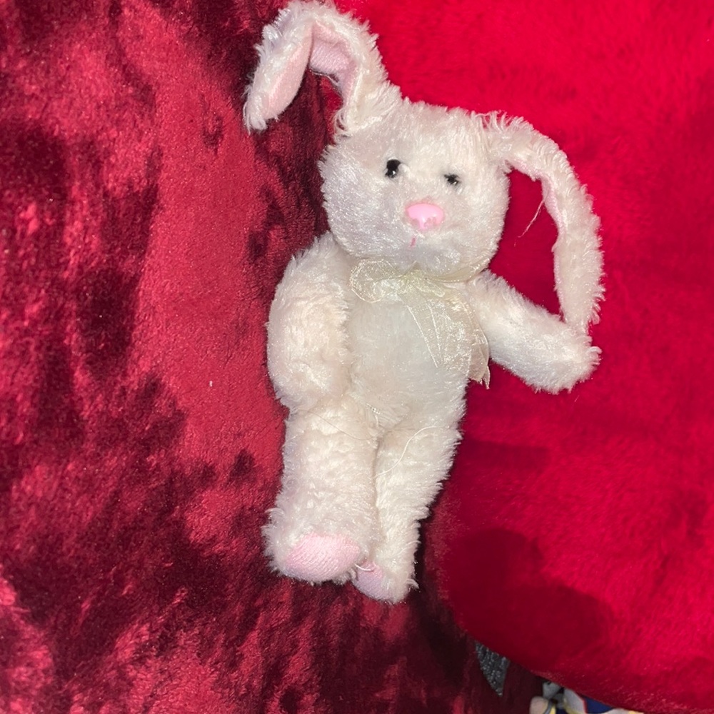 White bunny